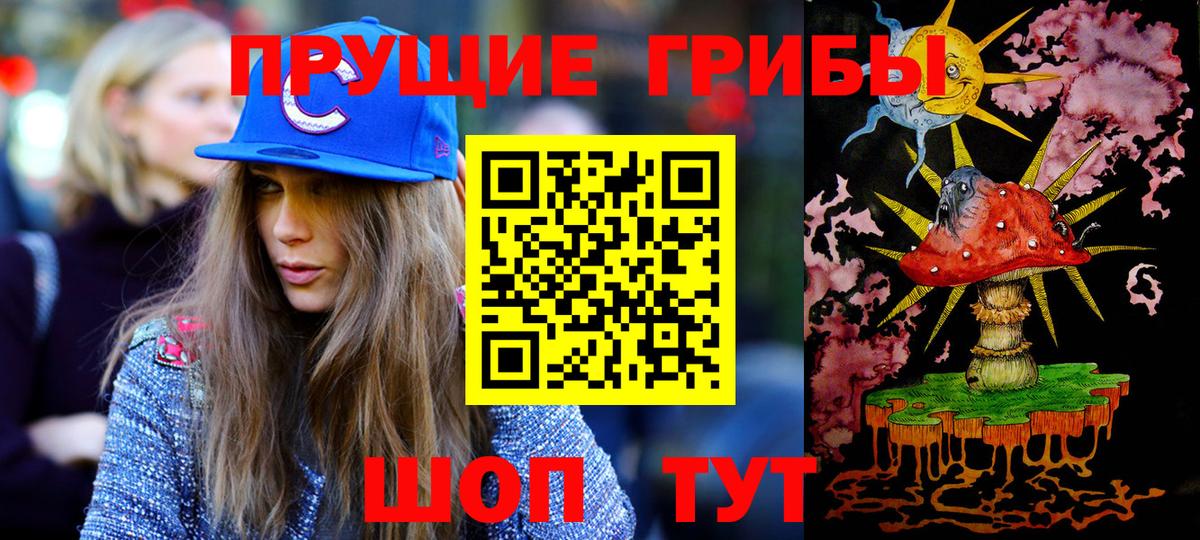 Заводоуковск  Галлюциногенные грибы прущие грибы  Галлюциногенные грибы Psilocybe  Вход с VPN 