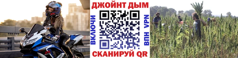 где продают наркотики Заводоуковск Конопля OG Kush