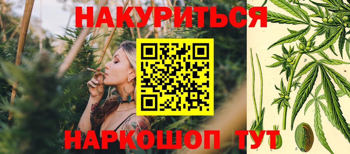 Канабис план  Шишки марихуана план  Вход с VPN  Заводоуковск 